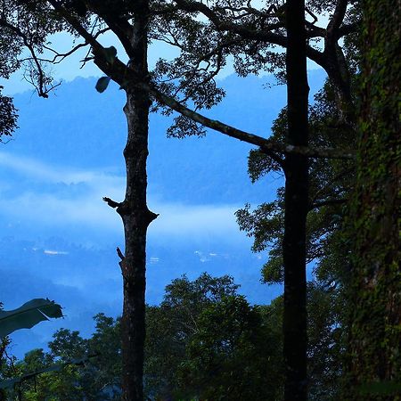 Madhumanthra Resort - Homestay Munnar Dış mekan fotoğraf