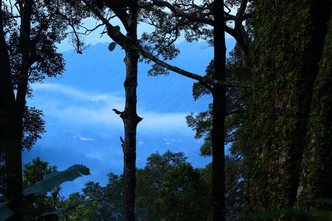 Madhumanthra Resort - Homestay Munnar Dış mekan fotoğraf