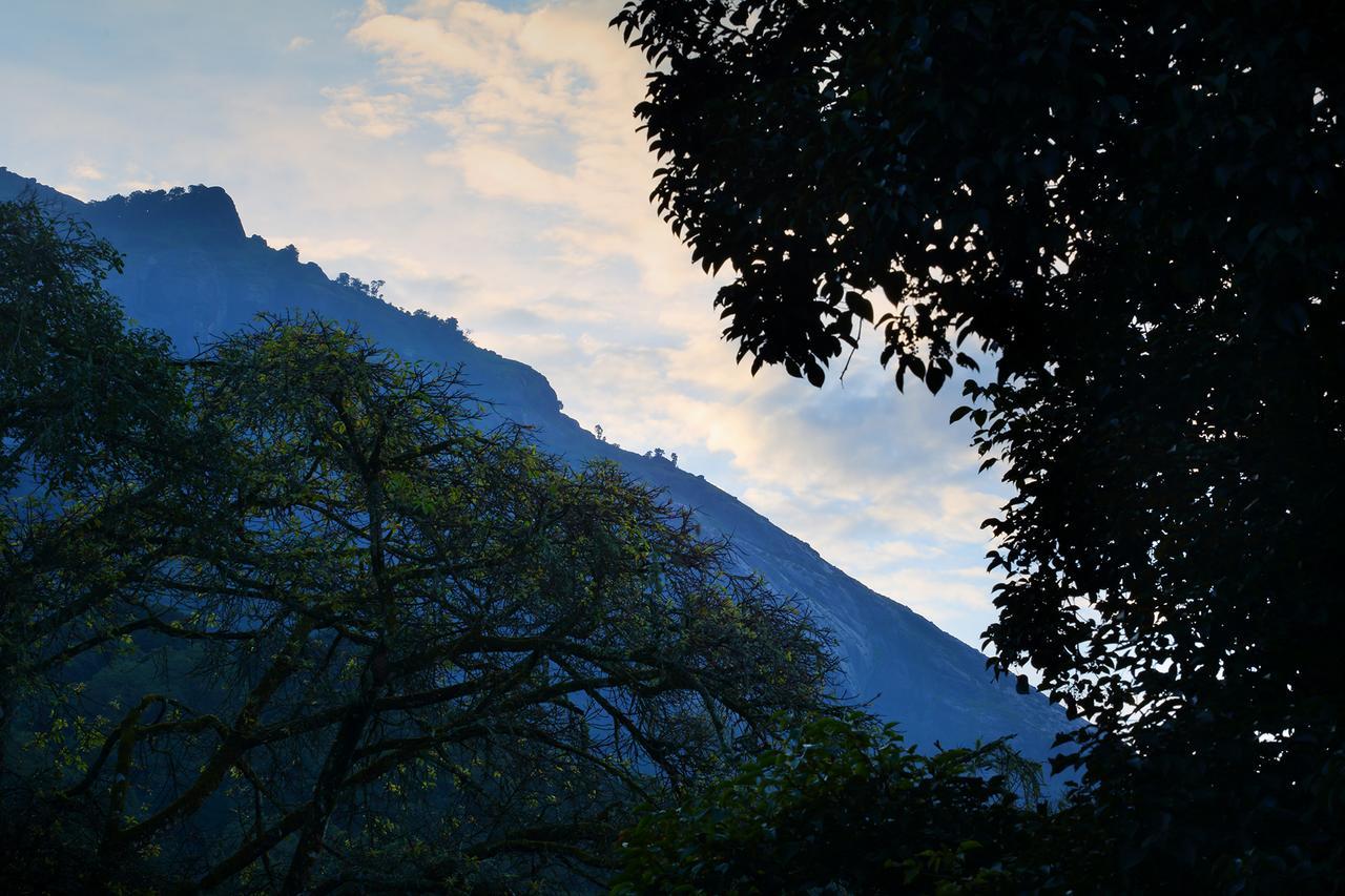 Madhumanthra Resort - Homestay Munnar Dış mekan fotoğraf