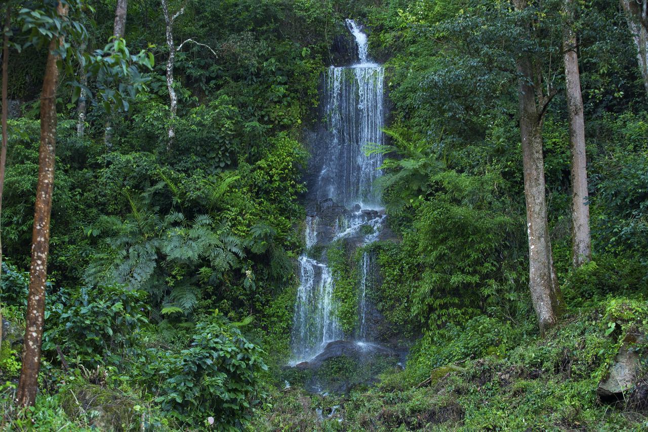 Madhumanthra Resort - Homestay Munnar Dış mekan fotoğraf