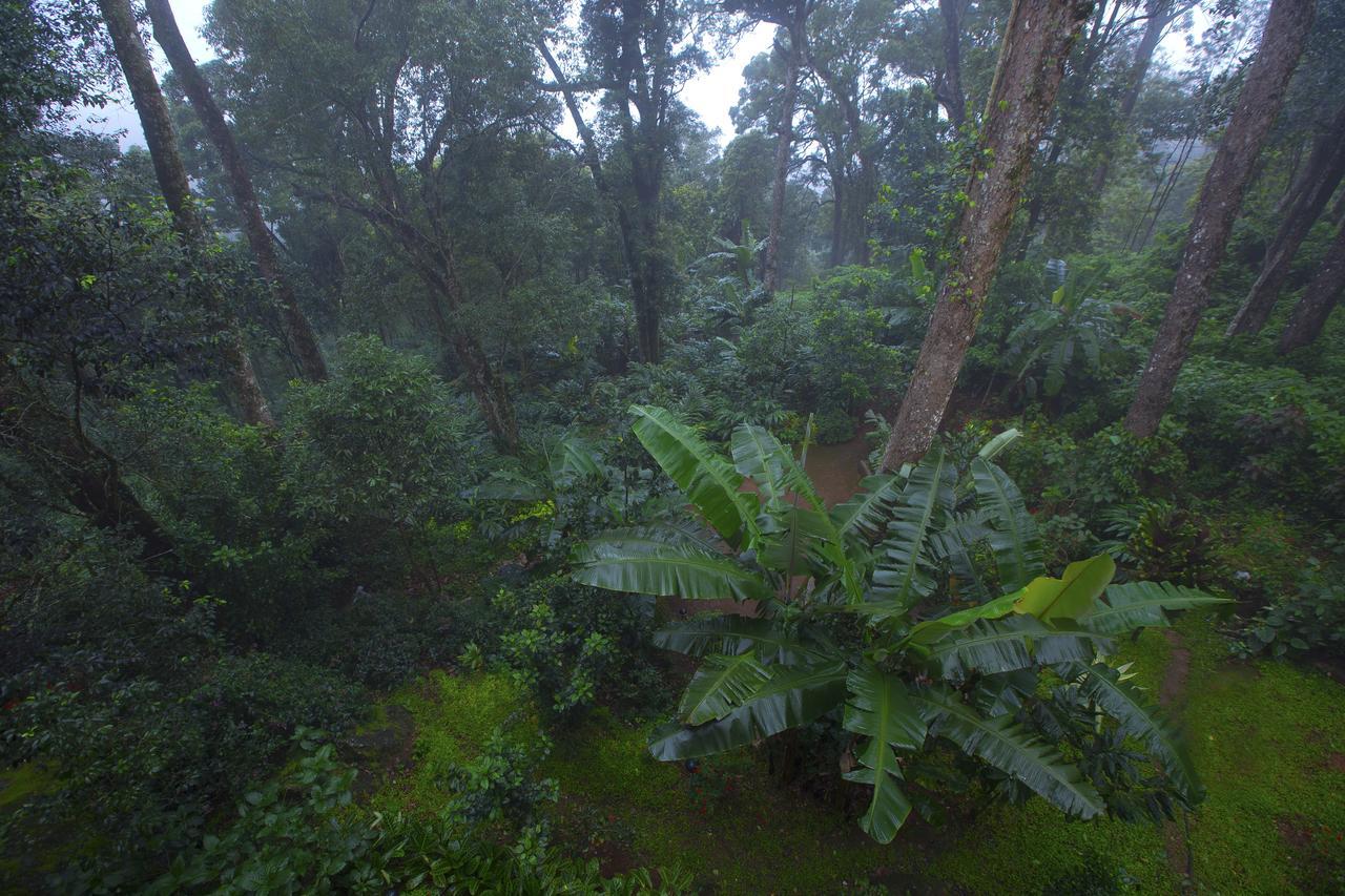 Madhumanthra Resort - Homestay Munnar Dış mekan fotoğraf